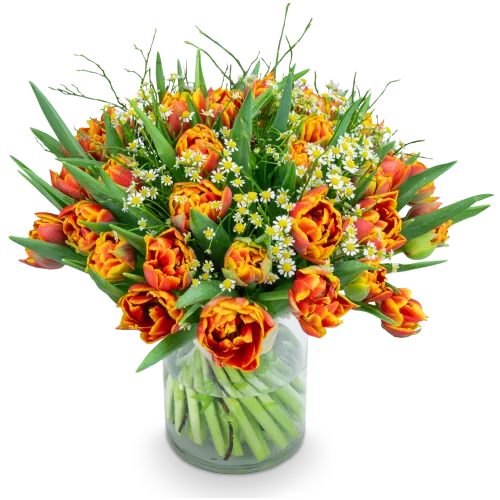 Bouquet of premium tulips